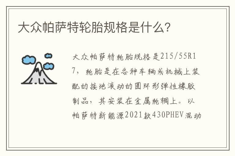 大众帕萨特轮胎规格是什么？