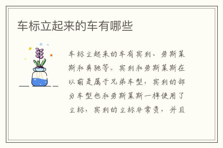 车标立起来的车有哪些