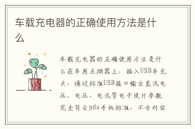 车载充电器的正确使用方法是什么