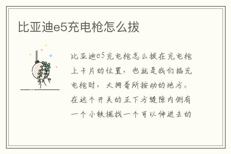比亚迪e5充电枪怎么拔