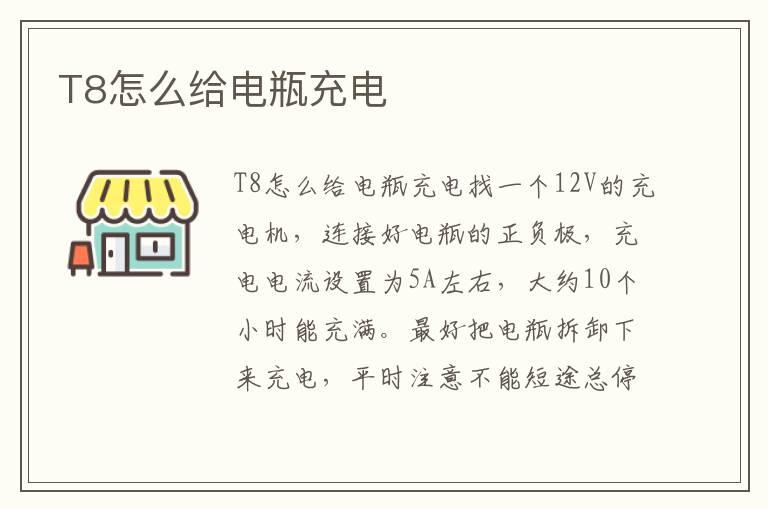 T8怎么给电瓶充电