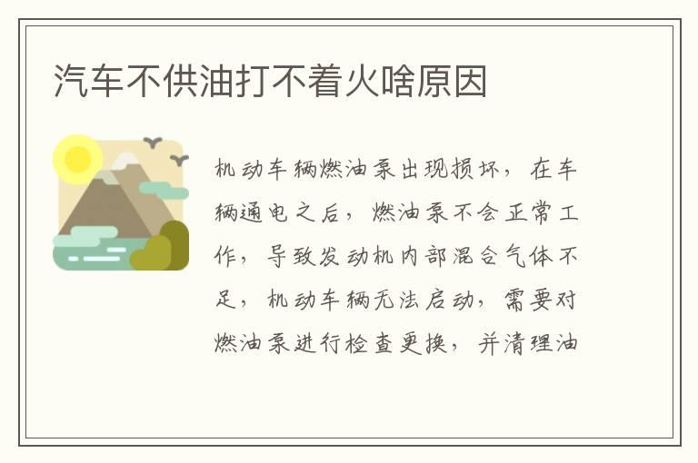 汽车不供油打不着火啥原因