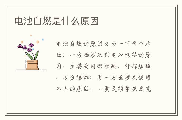 电池自燃是什么原因
