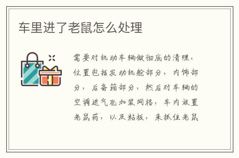 车里进了老鼠怎么处理