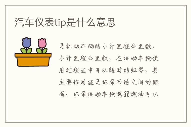 汽车仪表tip是什么意思