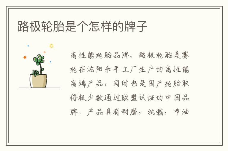 路极轮胎是个怎样的牌子