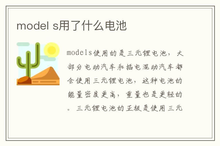 model s用了什么电池