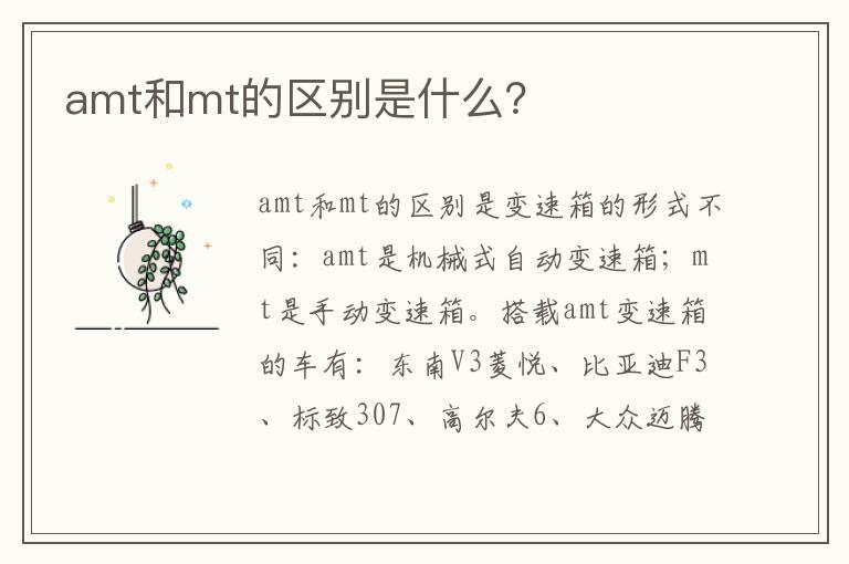 amt和mt的区别是什么？