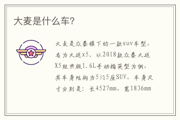 大麦是什么车？