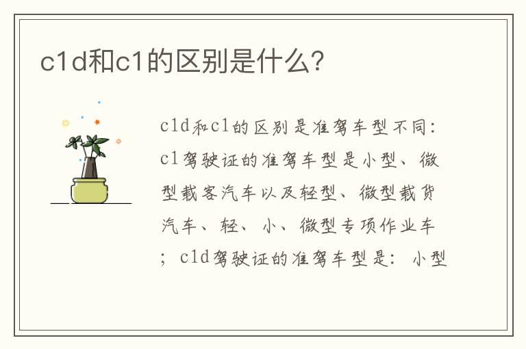 c1d和c1的区别是什么？