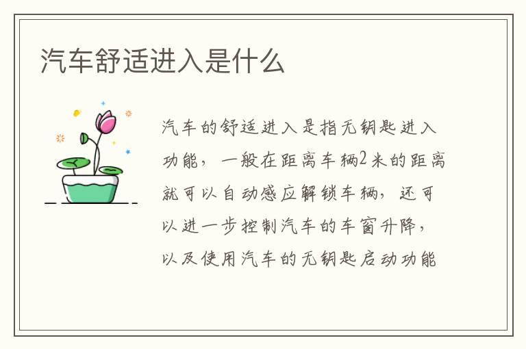 汽车舒适进入是什么