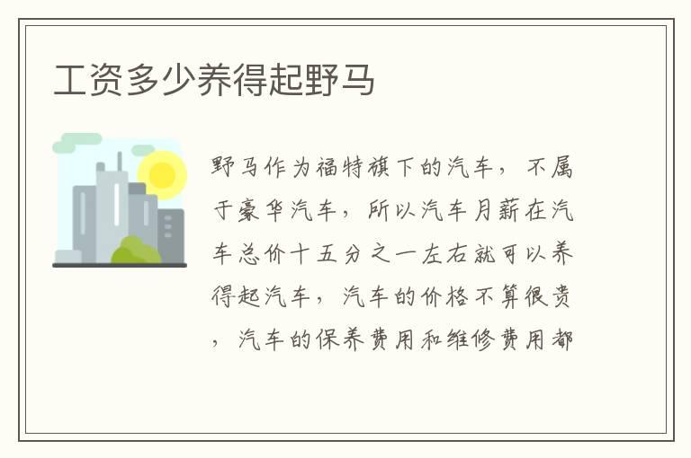 工资多少养得起野马