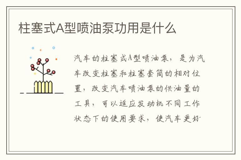 柱塞式A型喷油泵功用是什么