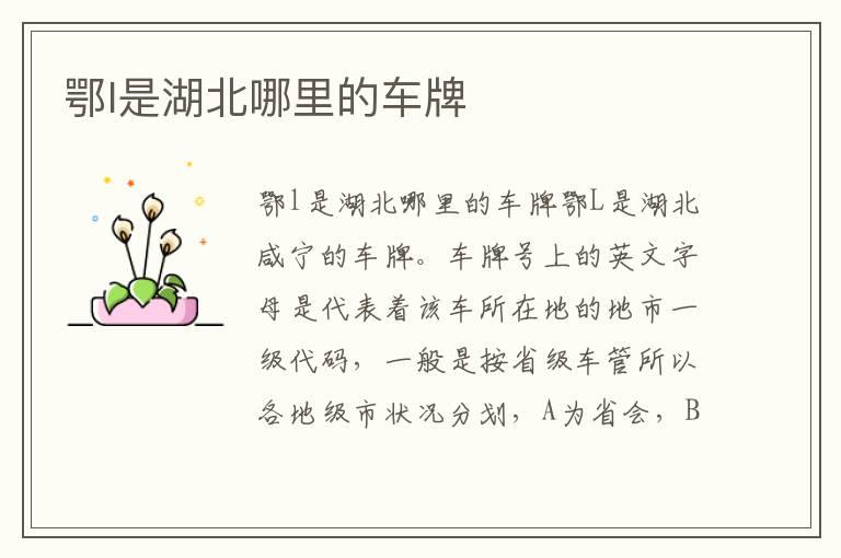 鄂l是湖北哪里的车牌