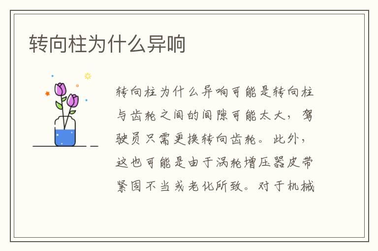 转向柱为什么异响