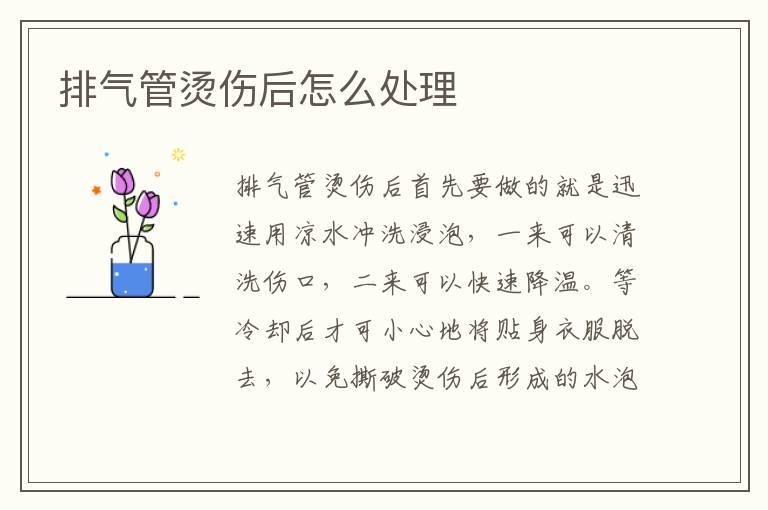 排气管烫伤后怎么处理
