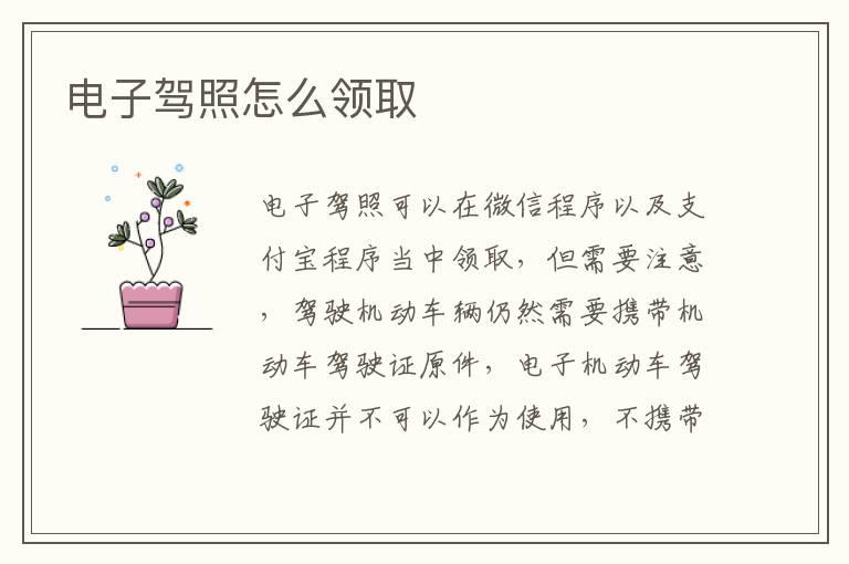 电子驾照怎么领取
