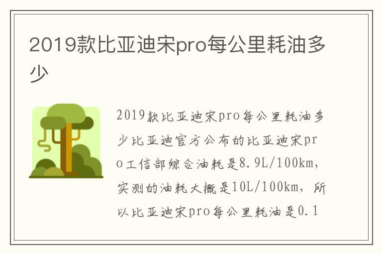 2019款比亚迪宋pro每公里耗油多少