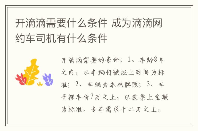 开滴滴需要什么条件 成为滴滴网约车司机有什么条件