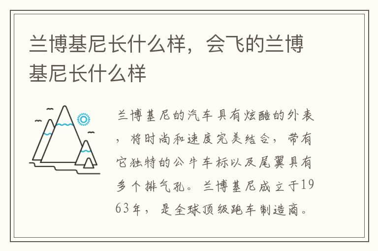 兰博基尼长什么样，会飞的兰博基尼长什么样