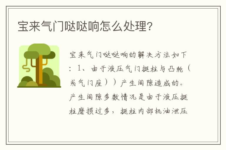 宝来气门哒哒响怎么处理?