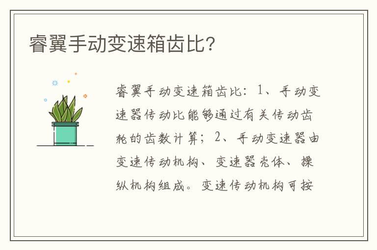 睿翼手动变速箱齿比?