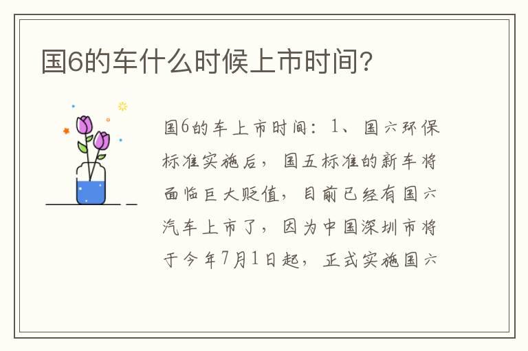 国6的车什么时候上市时间?