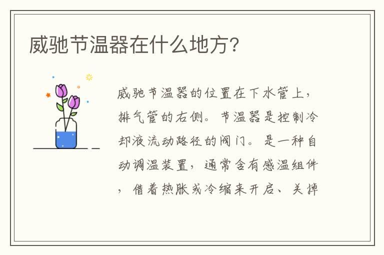 威驰节温器在什么地方?