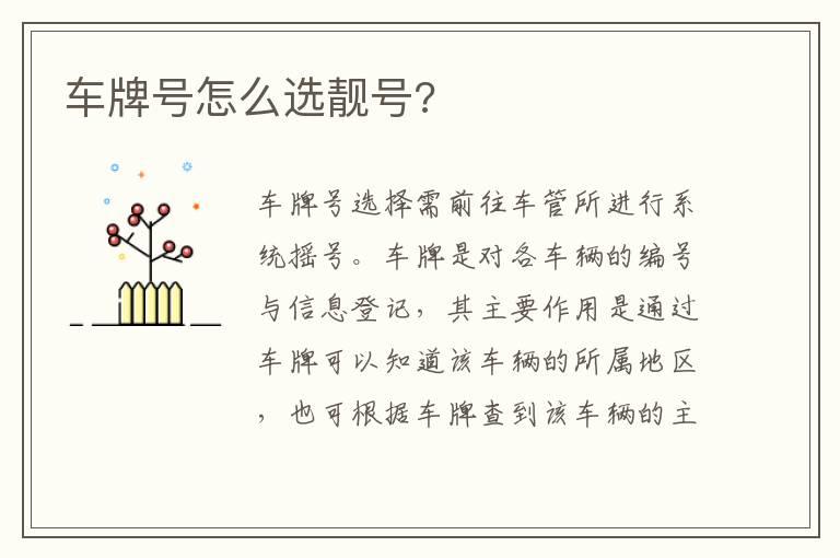 车牌号怎么选靓号?