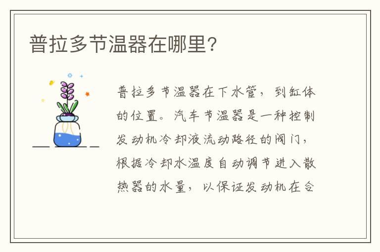 普拉多节温器在哪里?