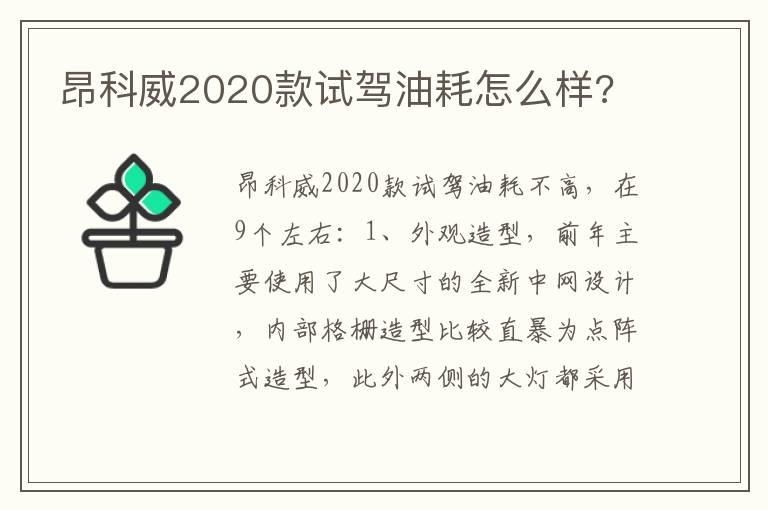 昂科威2020款试驾油耗怎么样?