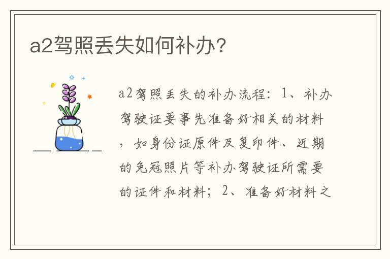 a2驾照丢失如何补办?