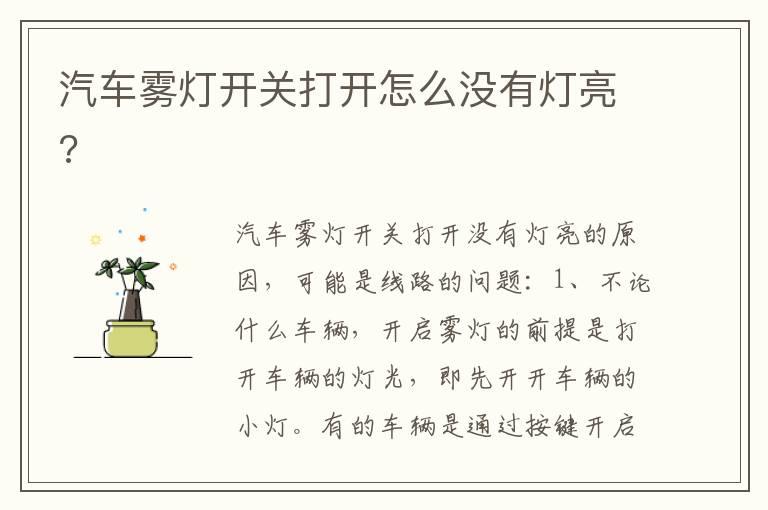 汽车雾灯开关打开怎么没有灯亮?