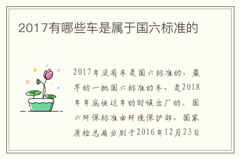 2017有哪些车是属于国六标准的