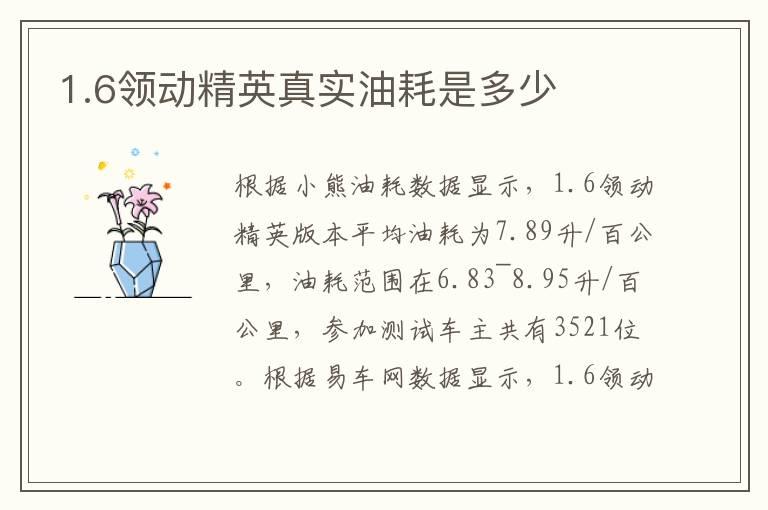 1.6领动精英真实油耗是多少