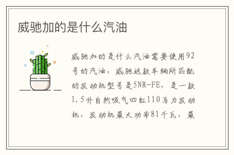 威驰加的是什么汽油