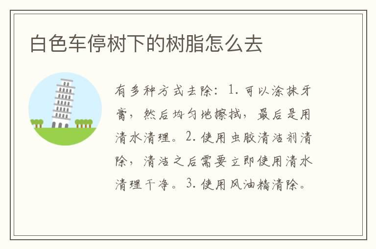 白色车停树下的树脂怎么去