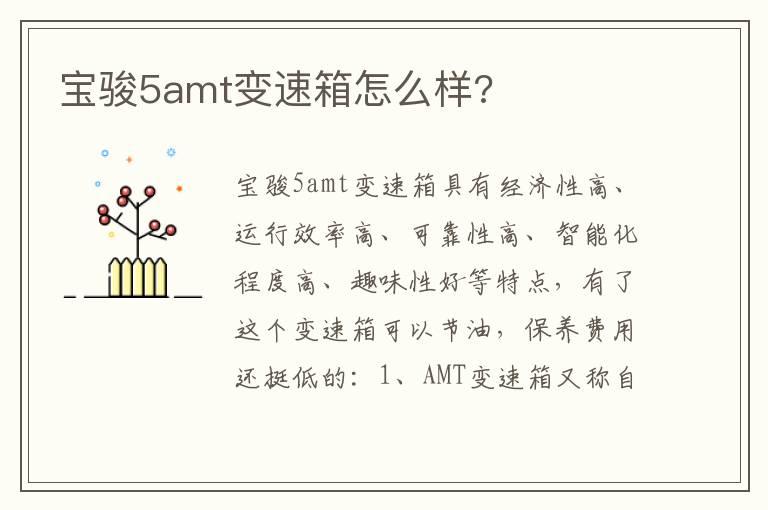 宝骏5amt变速箱怎么样?