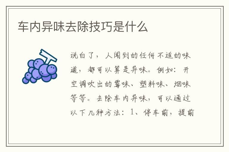 车内异味去除技巧是什么