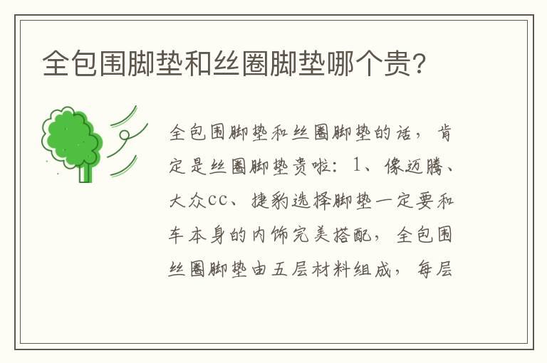 全包围脚垫和丝圈脚垫哪个贵?