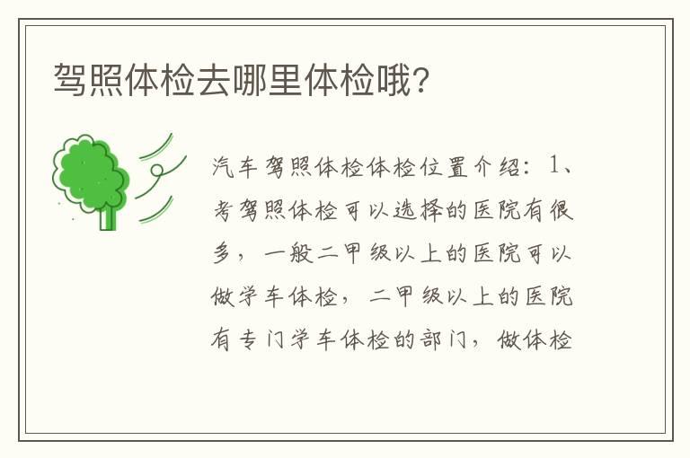 驾照体检去哪里体检哦?
