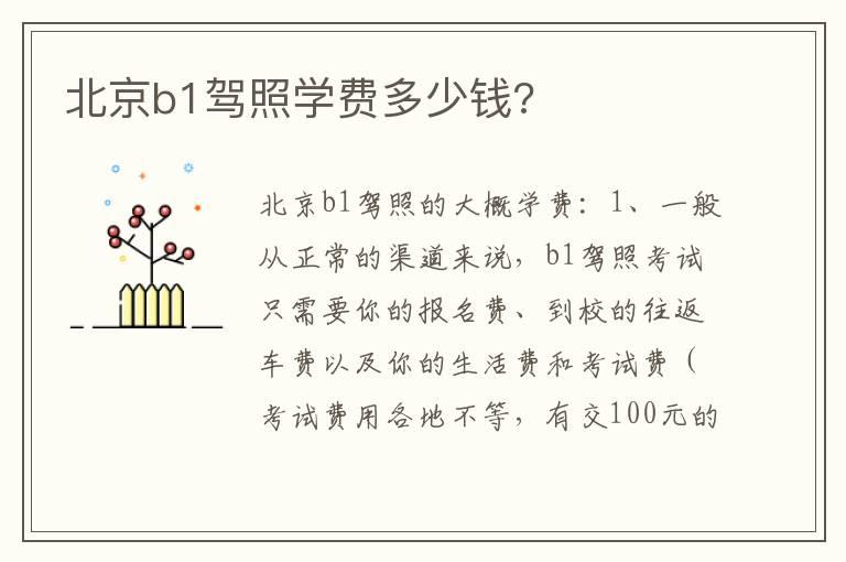 北京b1驾照学费多少钱?