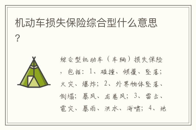 机动车损失保险综合型什么意思?