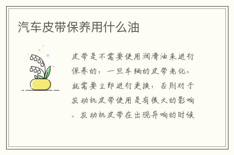 汽车皮带保养用什么油