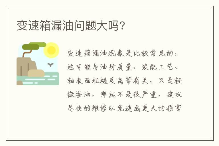 变速箱漏油问题大吗?