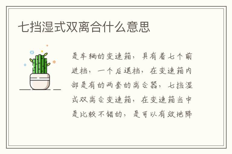 七挡湿式双离合什么意思