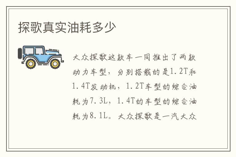 探歌真实油耗多少