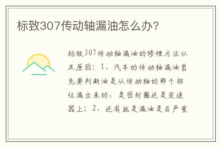 标致307传动轴漏油怎么办?