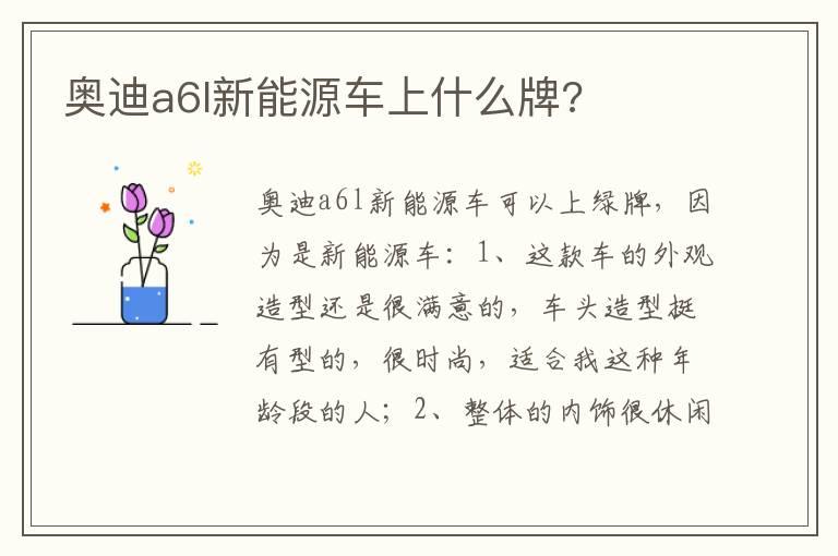 奥迪a6l新能源车上什么牌?
