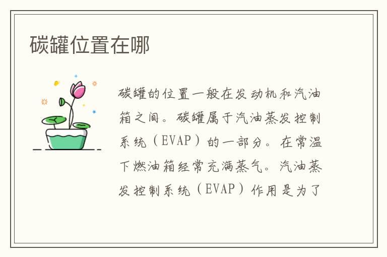 碳罐位置在哪